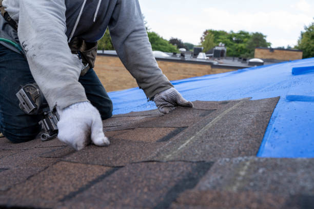 Best Chimney Flashing Repair  in Lewiston, ID